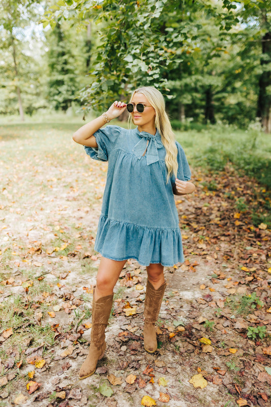 Dani Denim Mini Dress